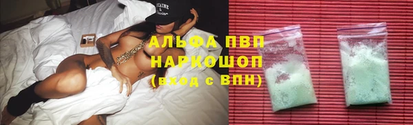дмт Покачи