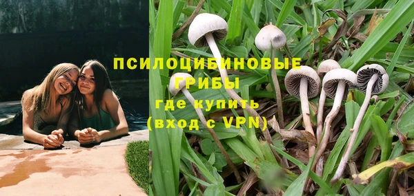 твердый Алексеевка