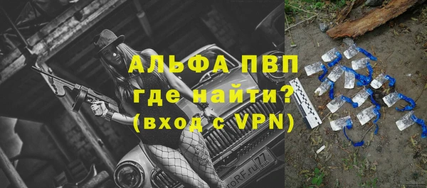 твердый Алексеевка