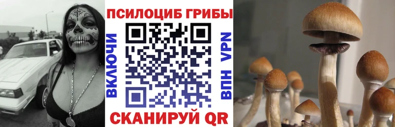 Галлюциногенные грибы мицелий  Клин 