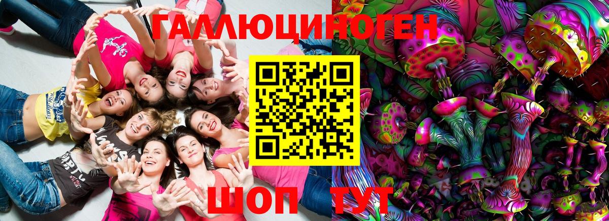 Клин  Псилоцибиновые грибы мицелий  Вход с VPN 